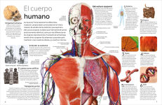 Alternative view 2 of Eyewitness: Cuerpo humano (Human Body)