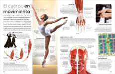 Alternative view 3 of Eyewitness: Cuerpo humano (Human Body)