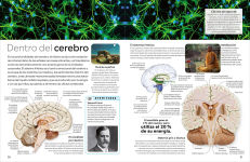 Alternative view 4 of Eyewitness: Cuerpo humano (Human Body)