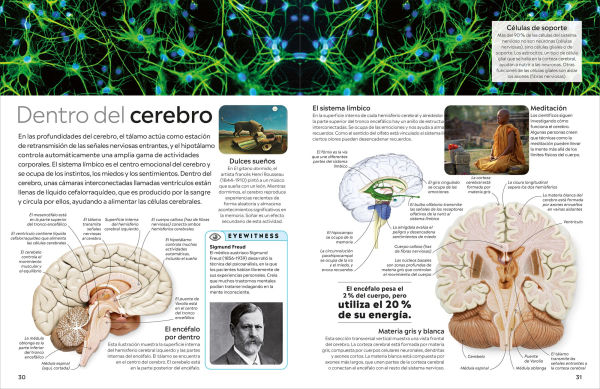 Eyewitness: Cuerpo humano (Human Body)