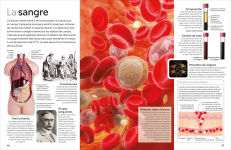 Alternative view 6 of Eyewitness: Cuerpo humano (Human Body)