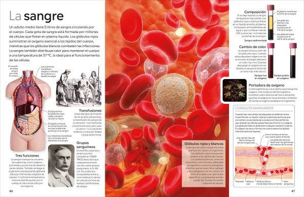 Eyewitness: Cuerpo humano (Human Body)