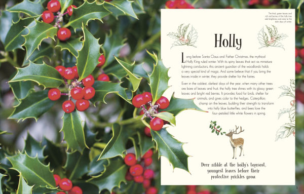 An Anthology of Christmas