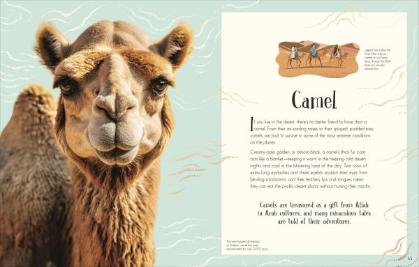 An Anthology of Christmas