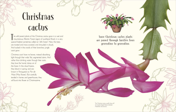 An Anthology of Christmas