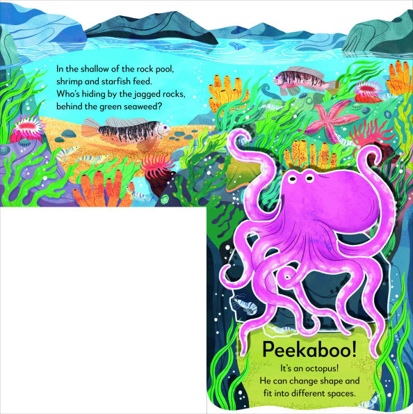 Pop-Up Peekaboo! Seashore