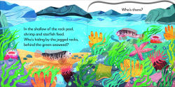 Alternative view 3 of Pop-Up Peekaboo! Seashore