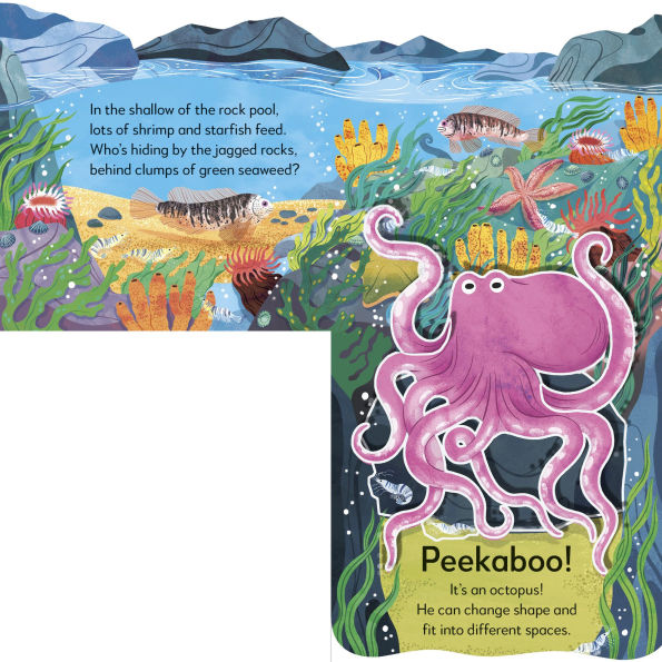 Pop-Up Peekaboo! Seashore