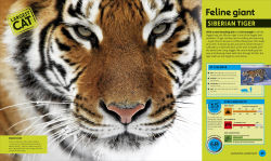 Alternative view 2 of Super Nature Encyclopedia