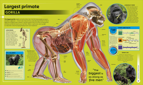 Super Nature Encyclopedia