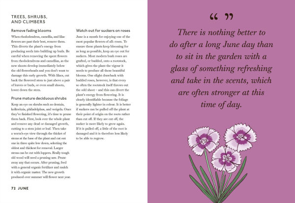 Your Gardening Year: What to Do When, Every Month of the Year