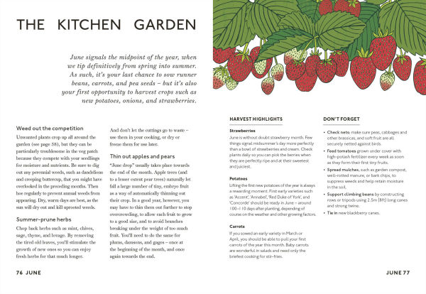 Your Gardening Year: What to Do When, Every Month of the Year