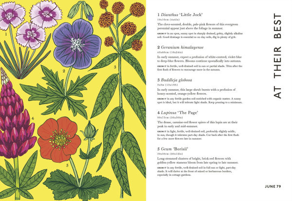 Your Gardening Year: What to Do When, Every Month of the Year