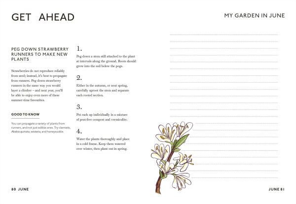 Your Gardening Year: What to Do When, Every Month of the Year