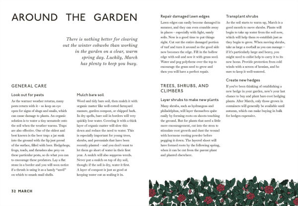 Your Gardening Year: What to Do When, Every Month of the Year