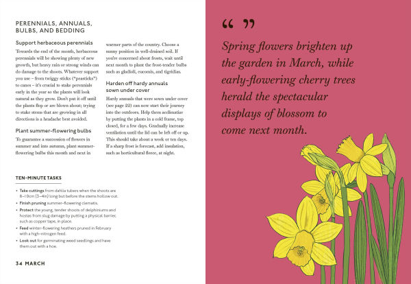 Your Gardening Year: What to Do When, Every Month of the Year