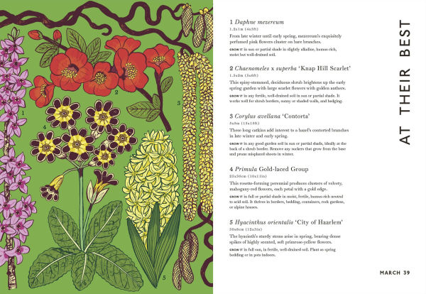 Your Gardening Year: What to Do When, Every Month of the Year