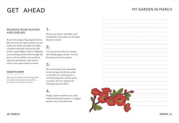 Your Gardening Year: What to Do When, Every Month of the Year