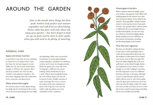 Your Gardening Year: What to Do When, Every Month of the Year