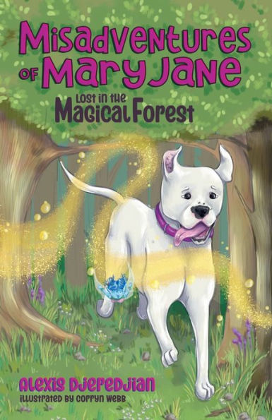 Barnes and Noble Misadventures of Mary Jane: Lost the Magical Forest ...