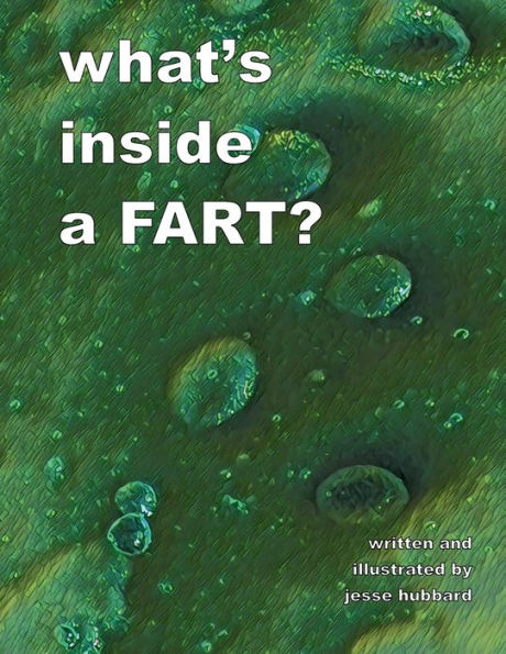 what's inside a FART?