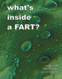 what's inside a FART?