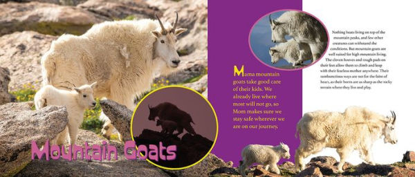 Let Me Tell You About My Mom: (a Grow-with-Me book for babies to early grade school)