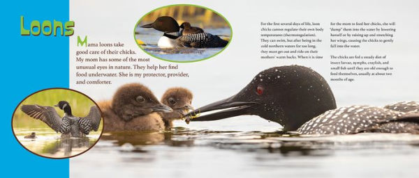 Let Me Tell You About My Mom: (a Grow-with-Me book for babies to early grade school)