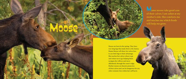 Let Me Tell You About My Mom: (a Grow-with-Me book for babies to early grade school)