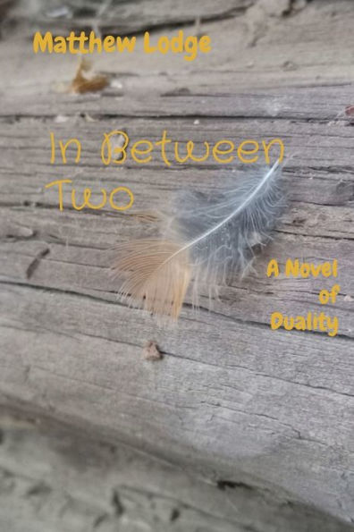 Between Two: A Novel of Duality
