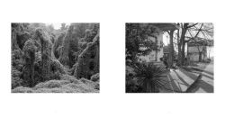 Alternative view 4 of Baldwin Lee