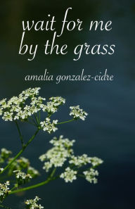 Title: wait for me by the grass, Author: Amalia Gonzalez-Cidre
