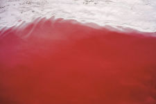 Alternative view 2 of Fazal Sheikh: Thirst, Great Salt Lake