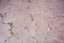 Alternative view 9 of Fazal Sheikh: Thirst, Great Salt Lake