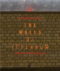 Title: The Walls of Toterrum, Author: Benjamin D Kamphuis