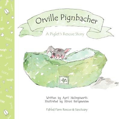 Orville Pignbacher: A Piglet's Rescue Story