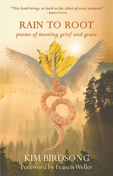 Rain to Root: poems of meeting grief and grace