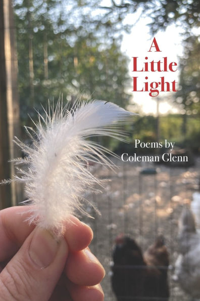 A Little Light: Poems