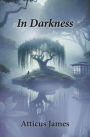 In Darkness