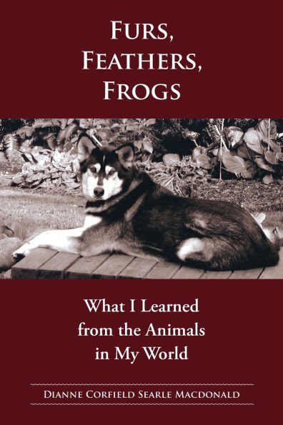 Fur, Feathers, Frogs: What I Learned from the Animals My World