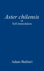 Aster chilensis: or Self-Immolation
