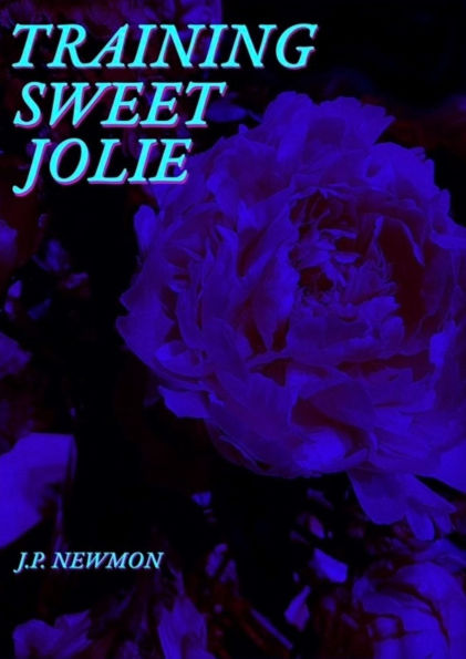 Training Sweet Jolie: Dirty Voyeurs Series Book1