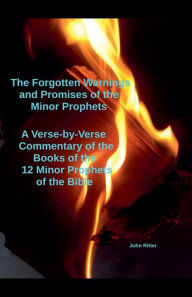 Title: The Forgotten Warnings and Promises of the Minor Prophets A Verse-by-Verse Commentary of the Books of the 12 Minor Prophets of the Bible, Author: Johny Ritter