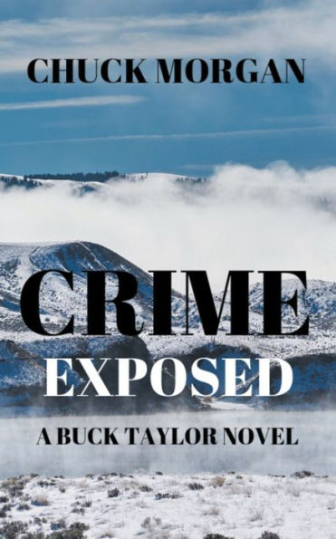 Crime Exposed: A Buck Taylor Novel (Book 4)