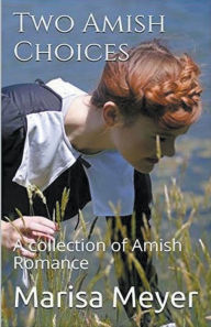 Title: Two Amish Choices, Author: Marisa Meyer