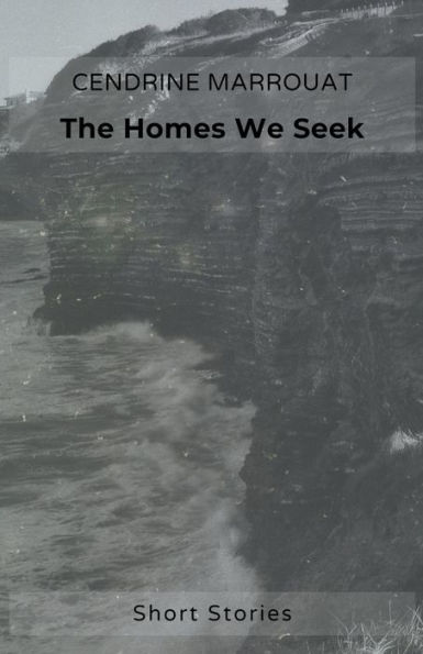 The Homes We Seek