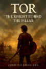 Tor: The Knight Behind The Pillar