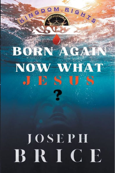 Born Again Now What Jesus