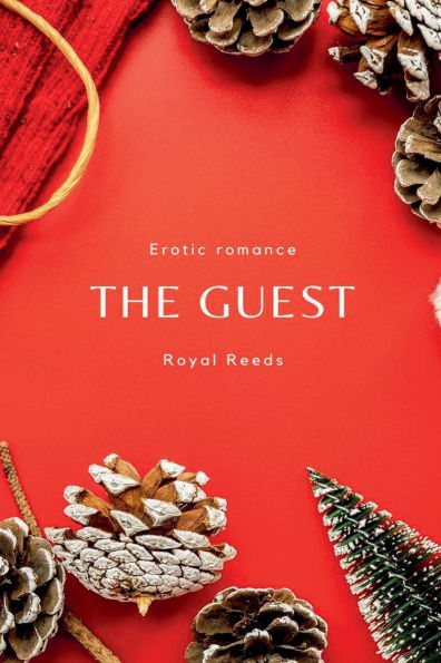 The Guest: Erotic Romance