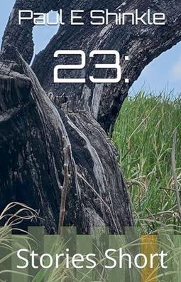 23: Stories Short